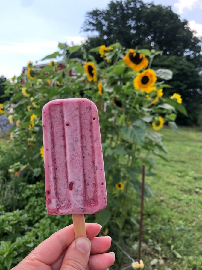 strawberry coconut milk popsicle with sunflowers in the background