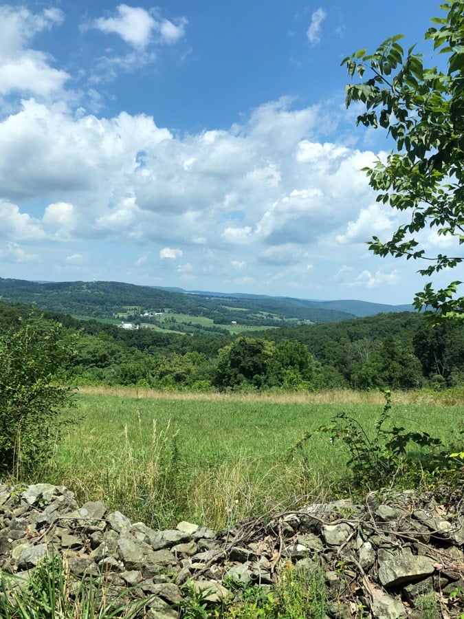 catoctin mountain farm views