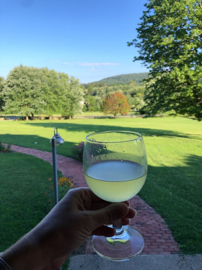 glass of wine with a green rolling hills view behind
