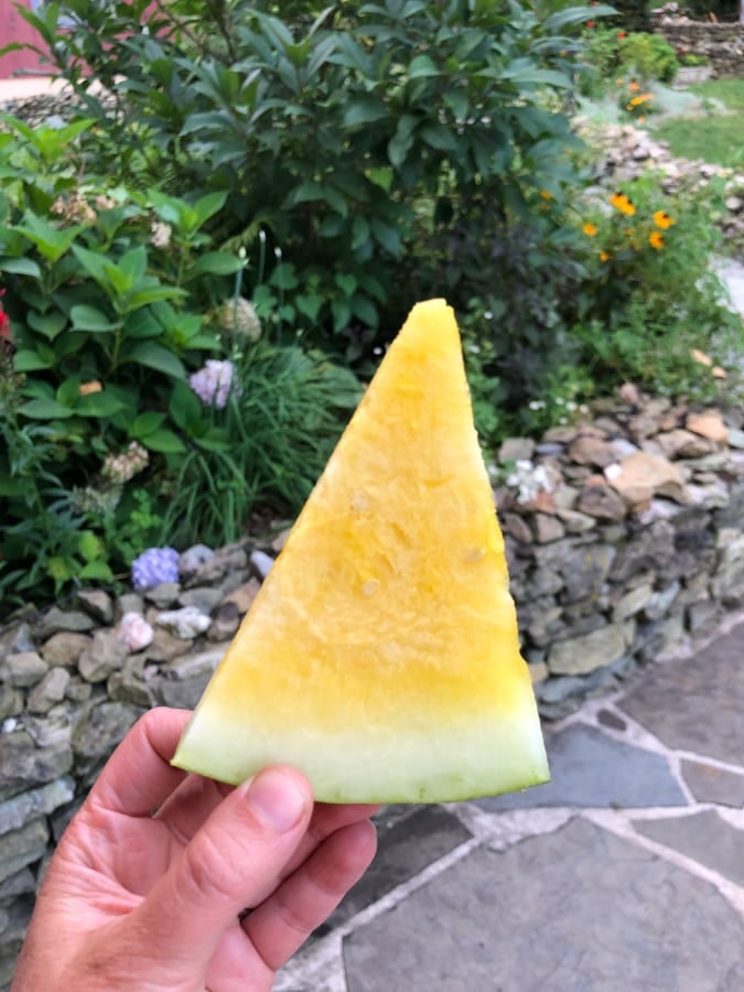 a slice of yellow watermelon