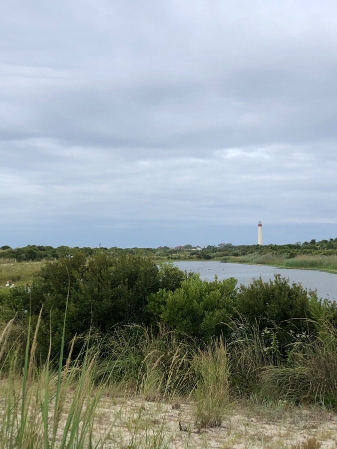 distant view of cape may lighthouse