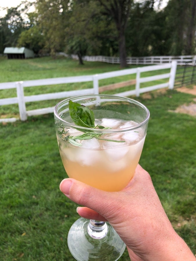 an apple cider vinegar drink with a farm view.