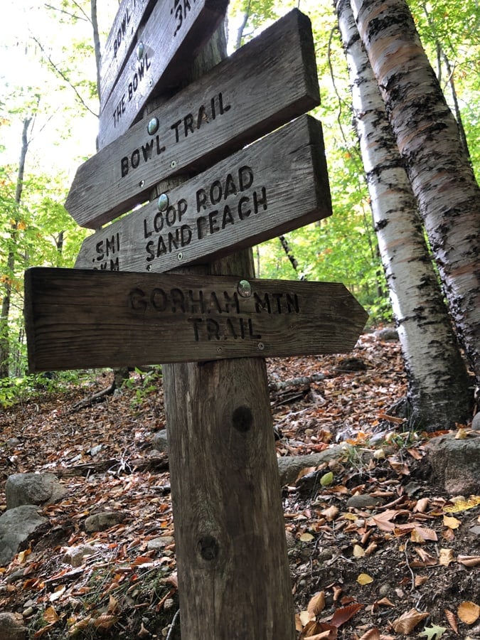 trail signs pointing towards gorham mountain trail