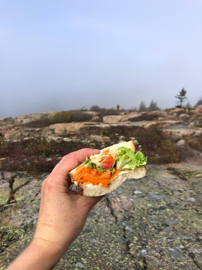 veggie sandwich on sargent mountain 