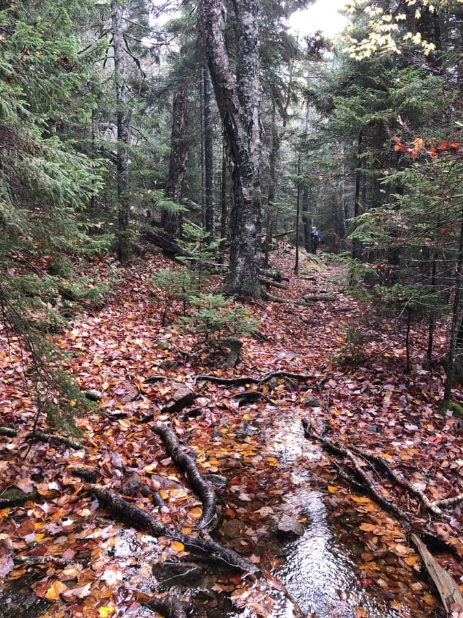 hiking in the woods in acadia in october