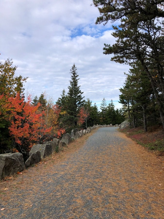 carriage road in acadia in october