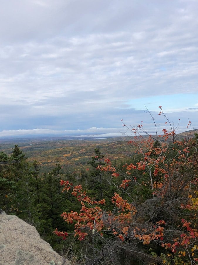 view from carriage road in acadia in october
