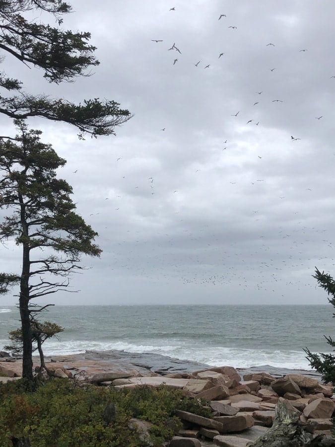 stormy weather off the coast in maine
