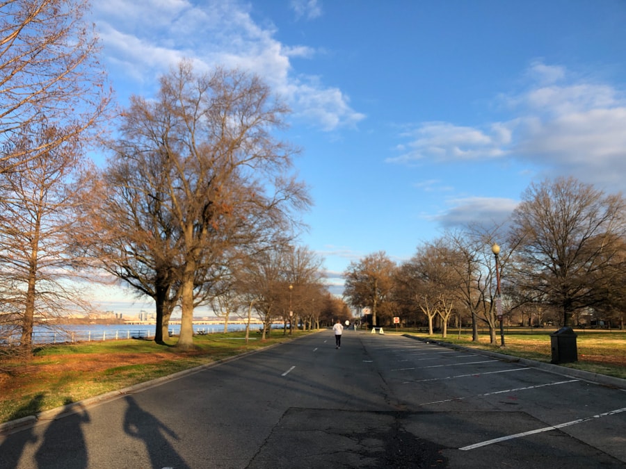 view running along hains point