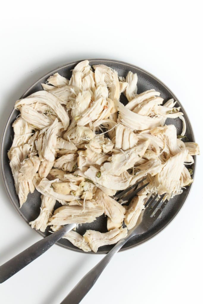 shredded chicken on a plate