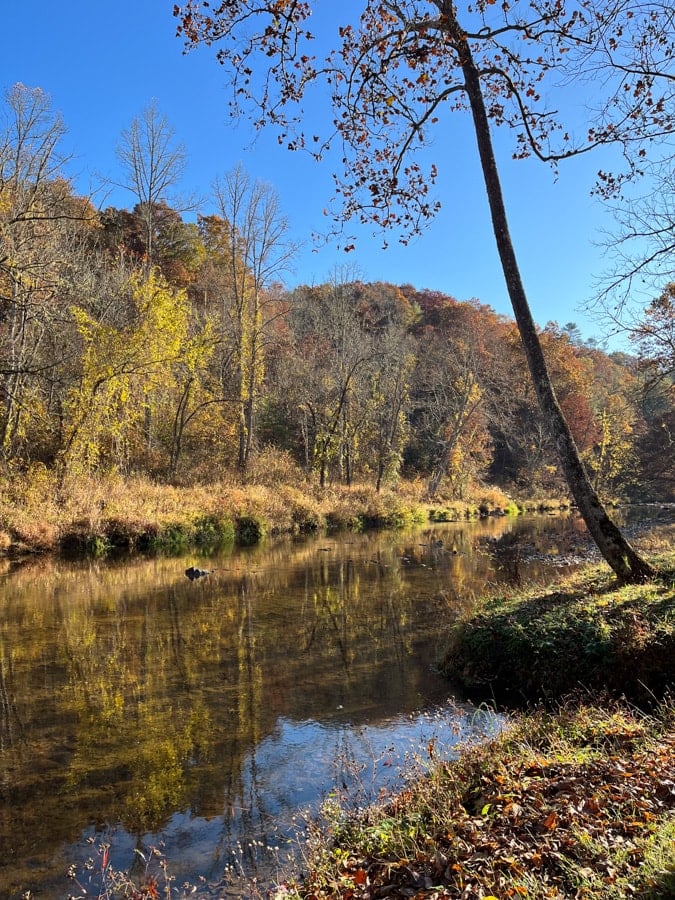 river near bend of ivy