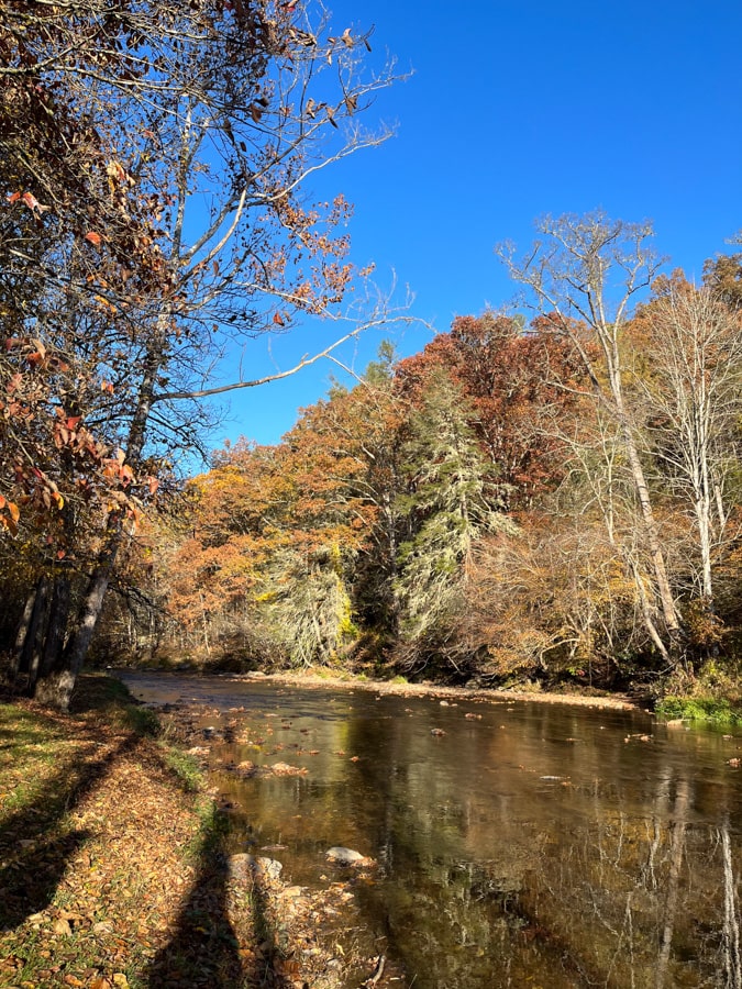 bend of ivy river