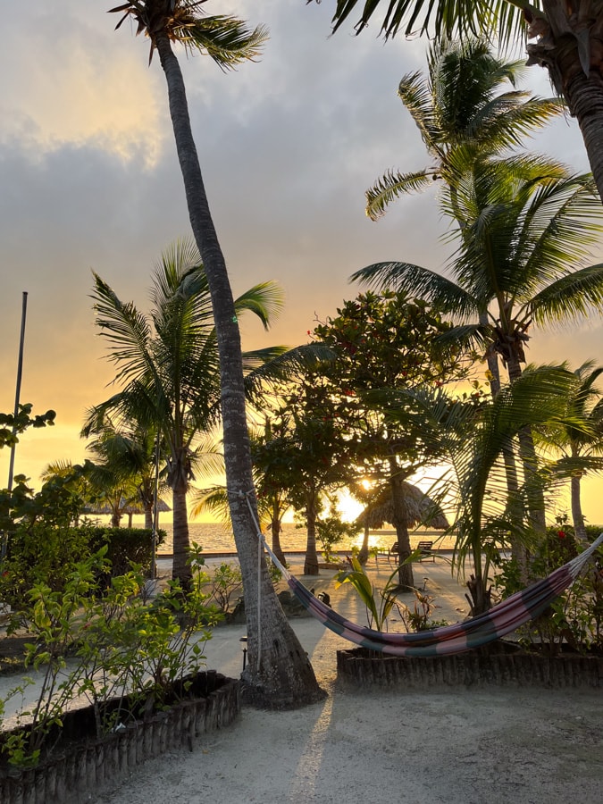 sunrise on turneffe island resort