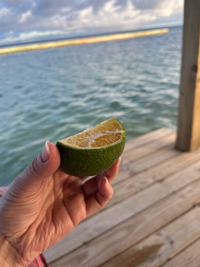 green orange in belize