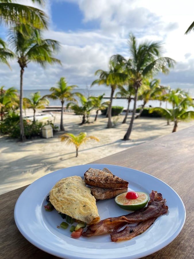 omelette with a tropical view