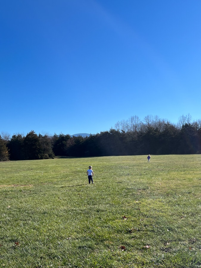 kids in a field