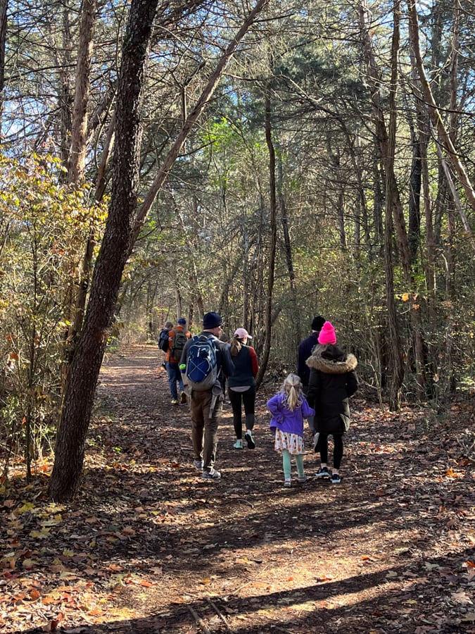 hiking in the woods