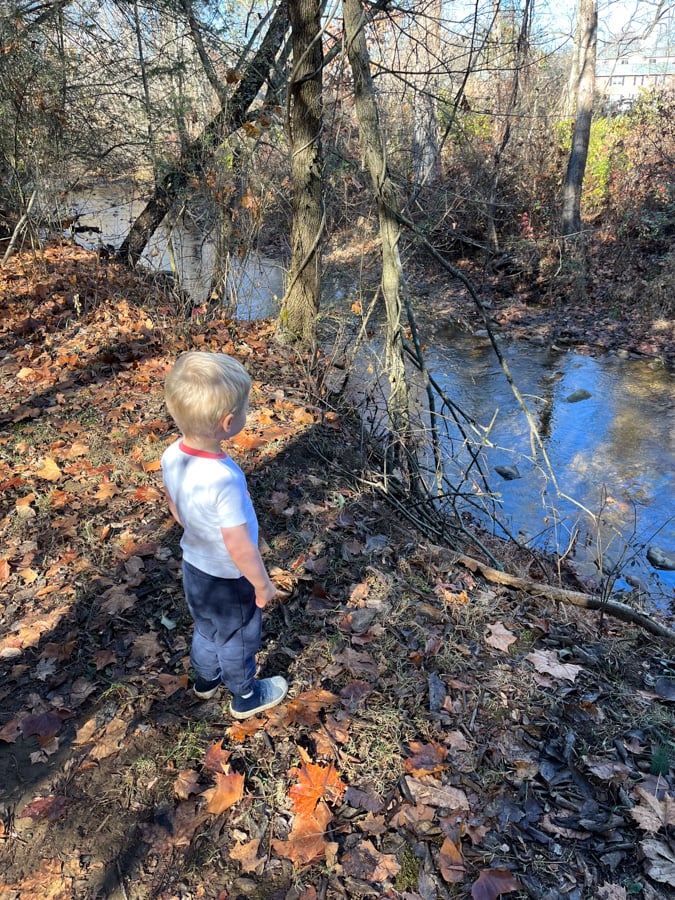 toddler hiking