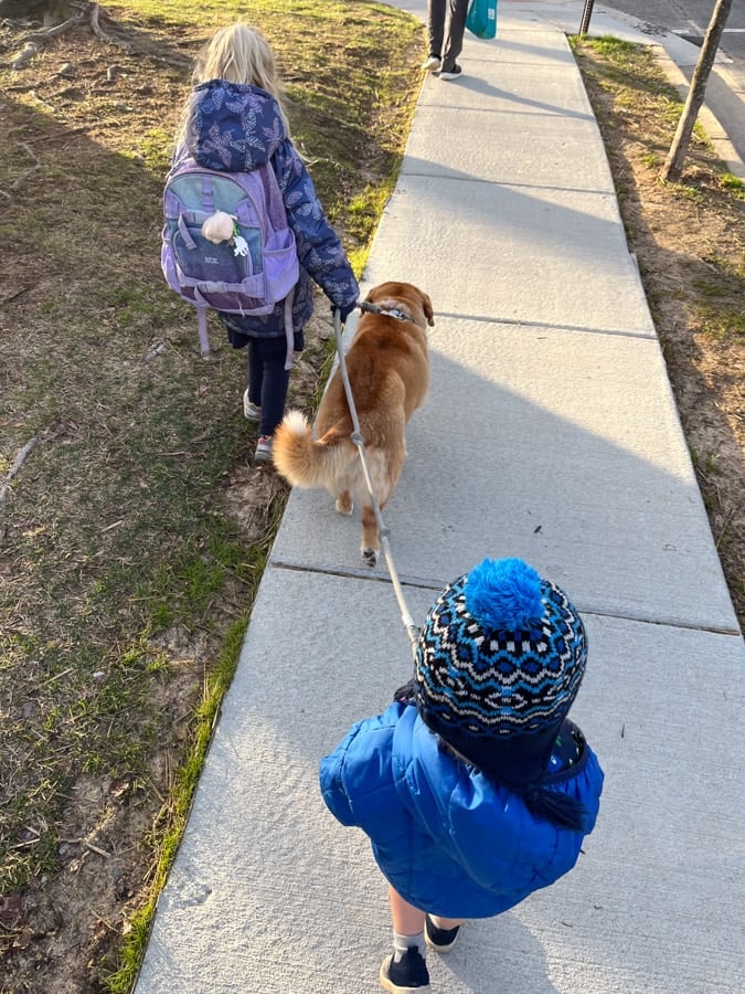 two kids walking a dog