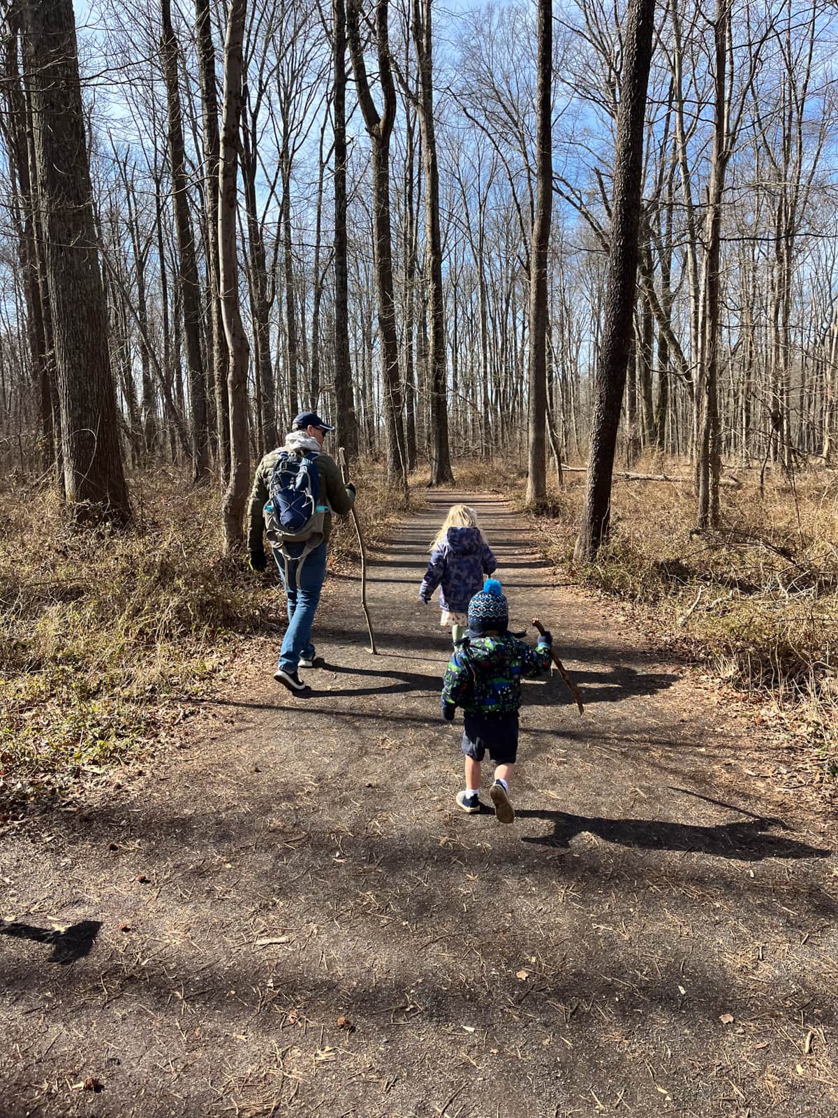 walk in the woods