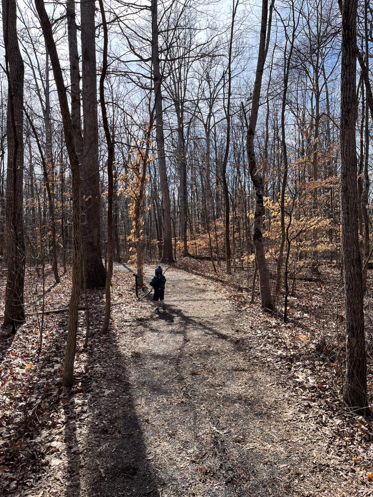 toddler in the woods