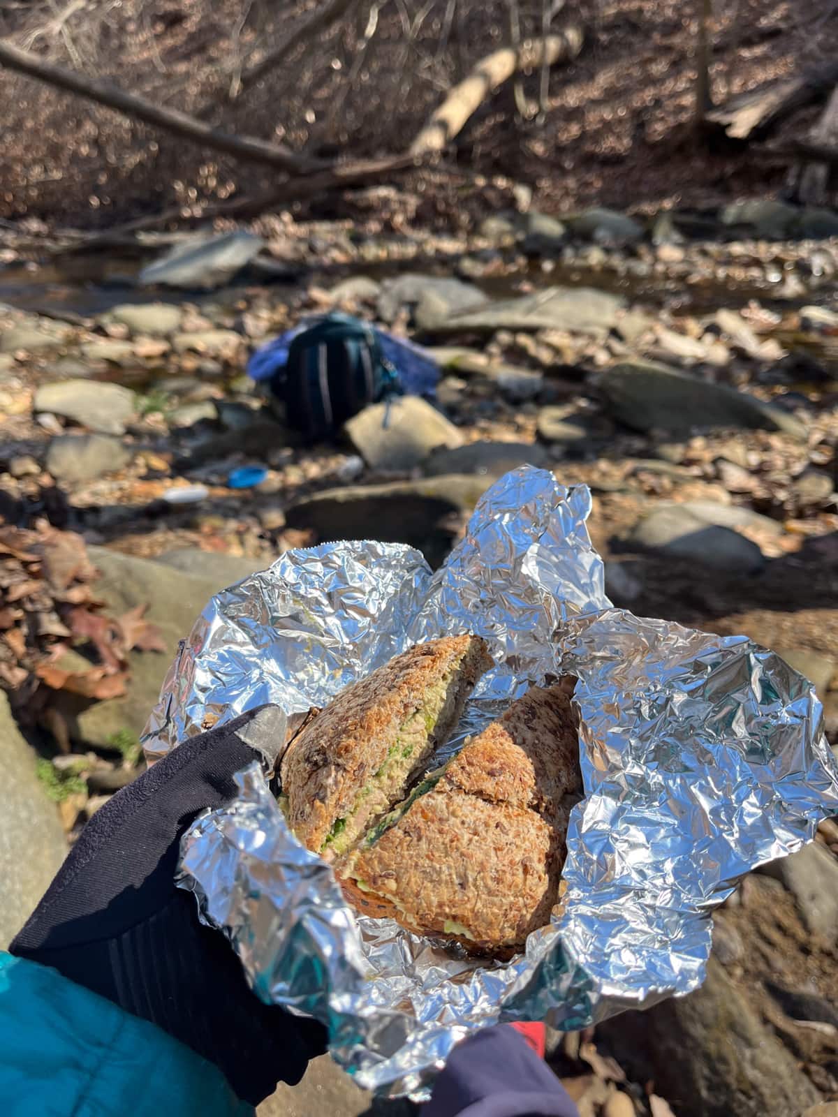 tuna salad sandwich picnic while hiking