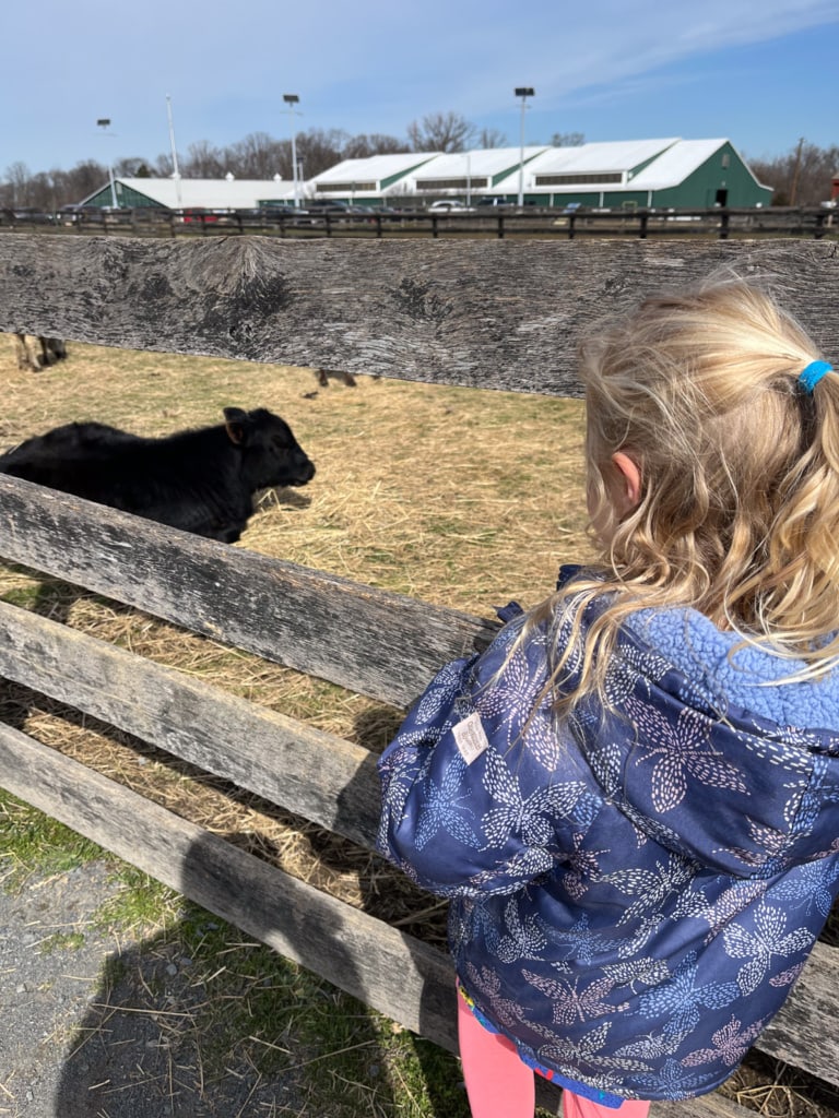 animals at frying pan farm park