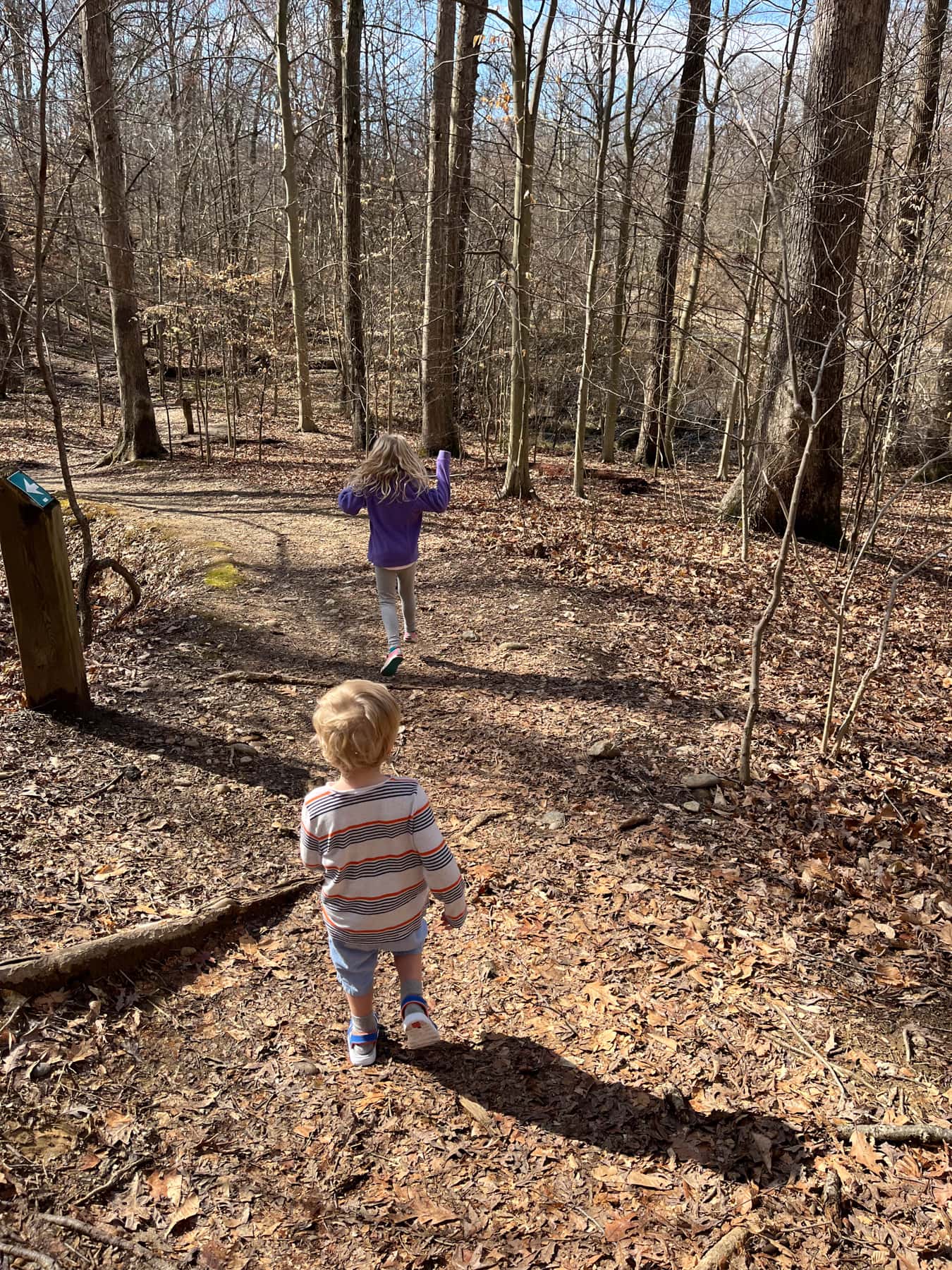 walking in the woods at Dora Kelly Nature Preserve