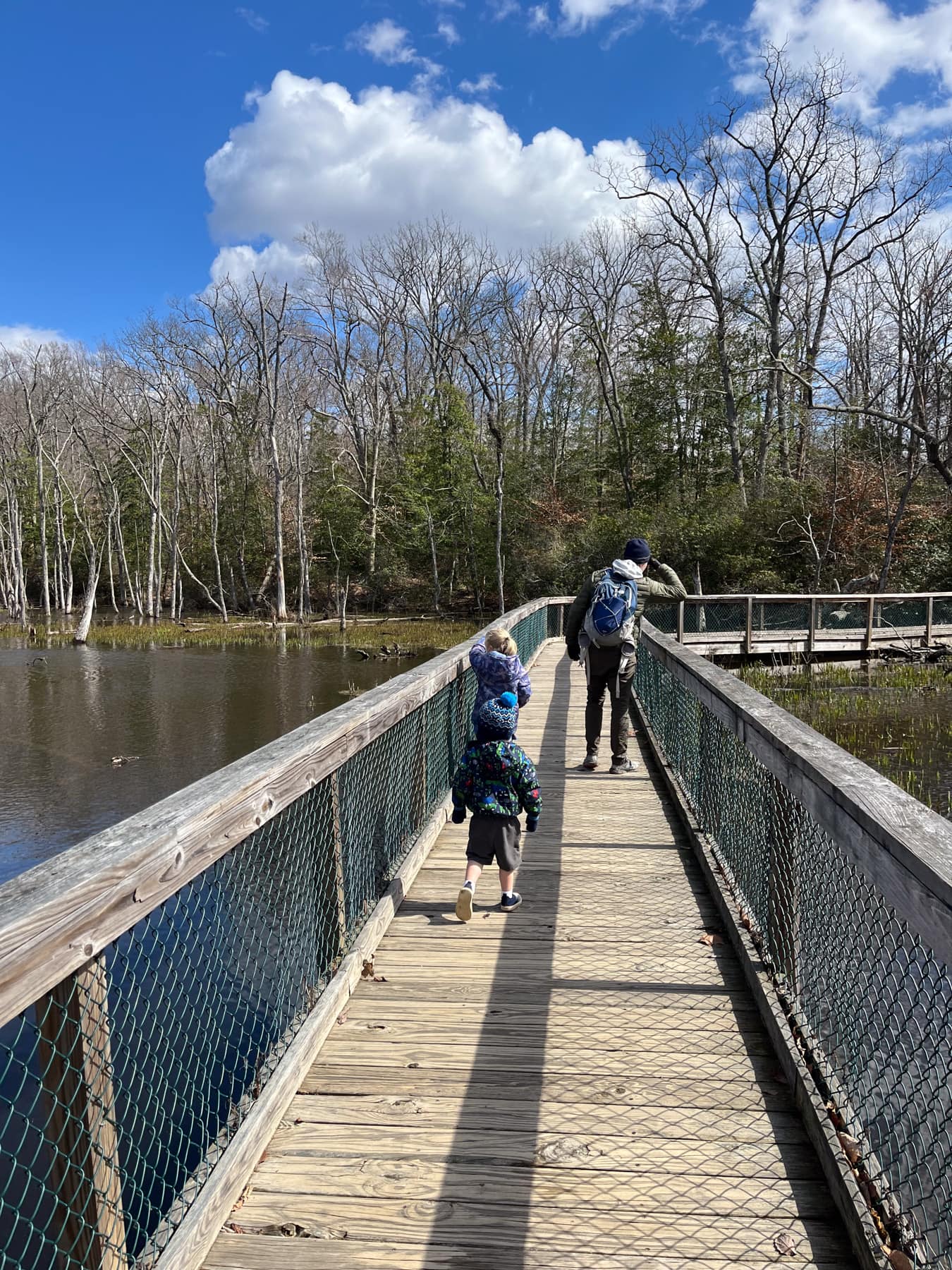 mason neck state park boardwalk