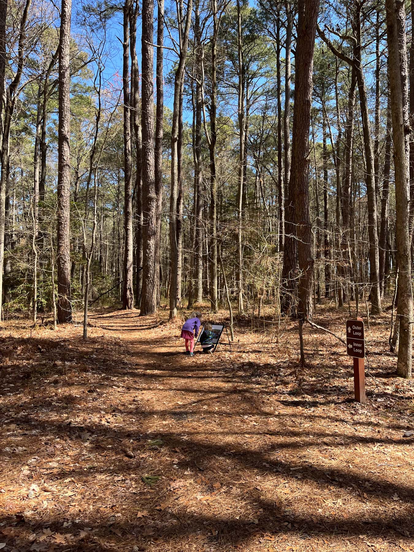 hiking in blackwater national wildlife refuge