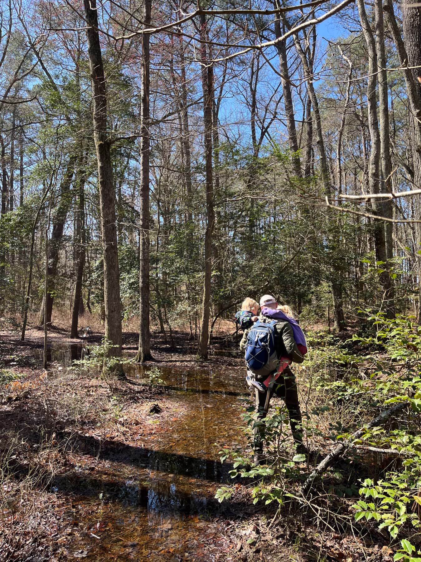 avoiding puddles in blackwater national wildlife refuge