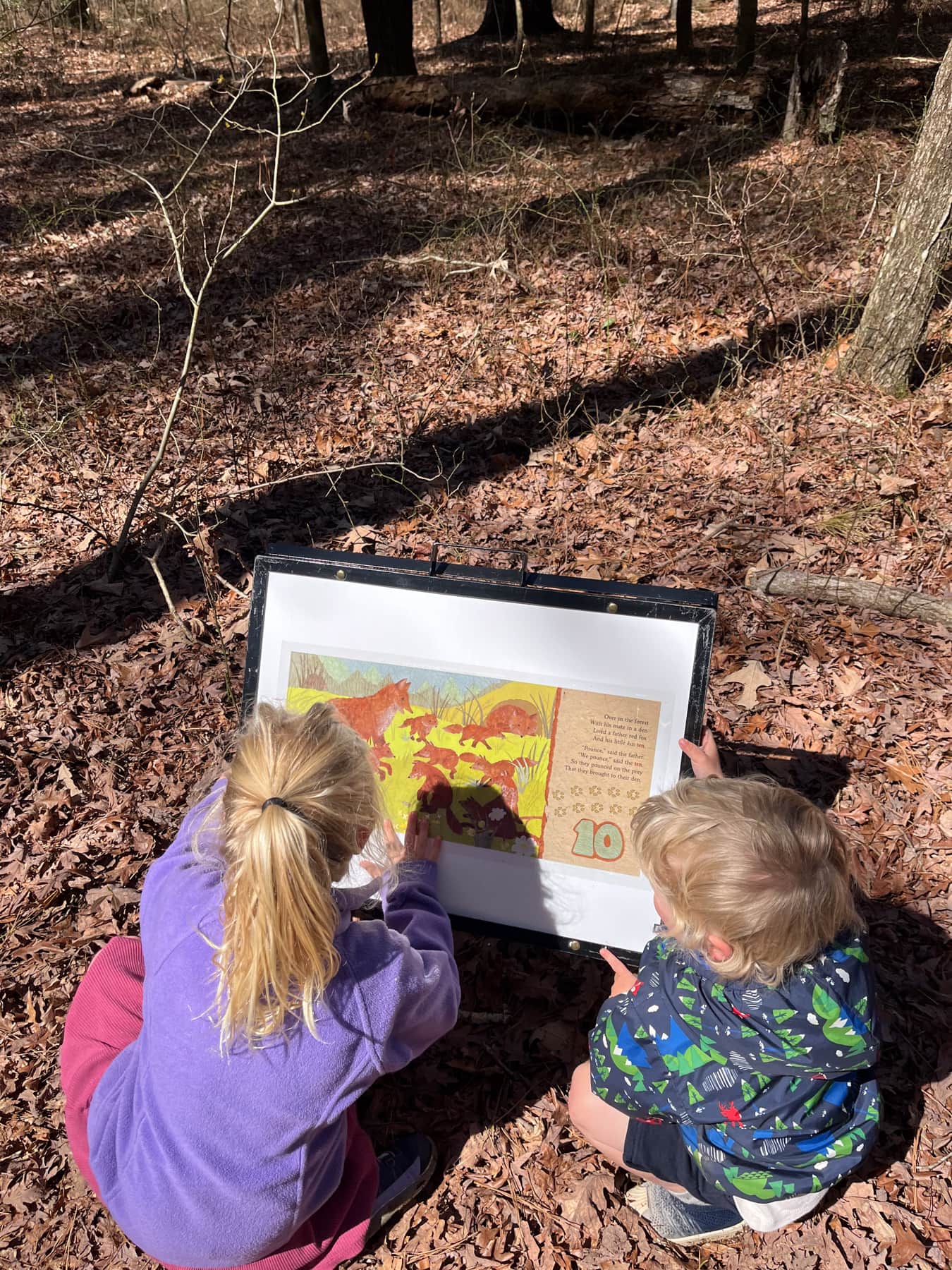 blackwater national wildlife refuge story book trail