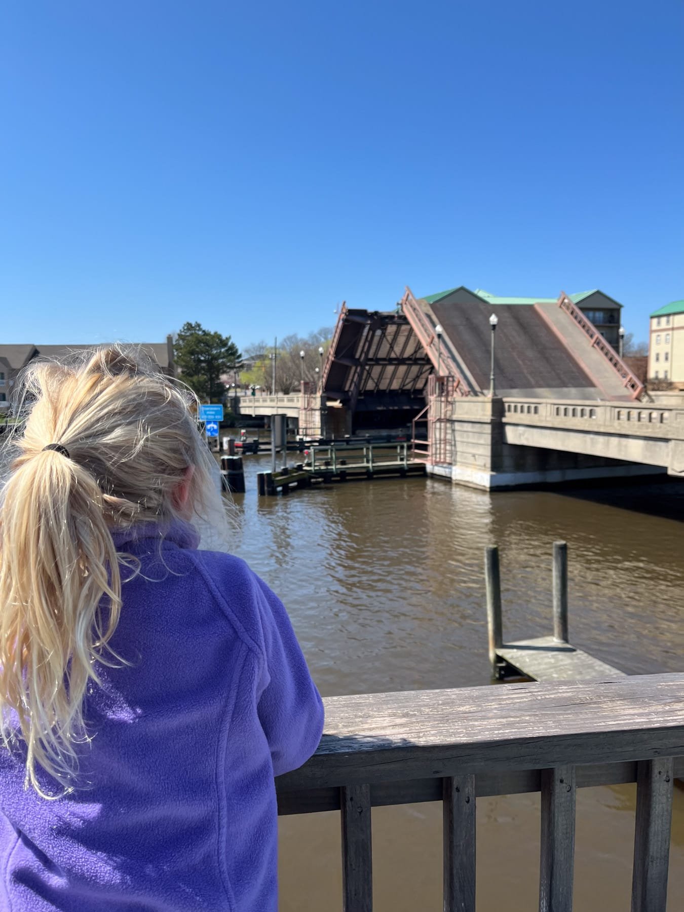 cambridge md drawbridge